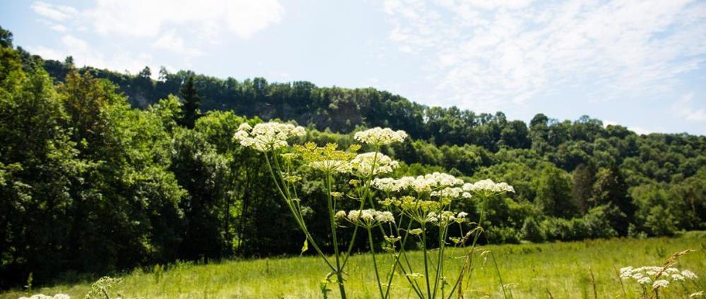 L'Ancienne Grange Villa Haut-le-Wastia ภายนอก รูปภาพ